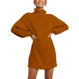 2021 Winter New Fashion Women's High Neck Mid-length Sweater Sweater Dress