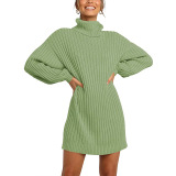2021 Winter New Fashion Women's High Neck Mid-length Sweater Sweater Dress