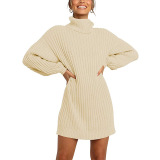 2021 Winter New Fashion Women's High Neck Mid-length Sweater Sweater Dress