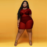 Women Mesh See Through One Piece Dress L-4XL