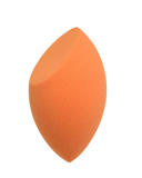 Wet and Dry Makeup Sponge Multi Shape