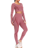 Autumn Seamless High Waist Tight Yoga Two-piece Set