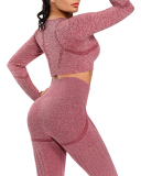 Autumn Seamless High Waist Tight Yoga Two-piece Set