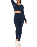Autumn Seamless High Waist Tight Yoga Two-piece Set