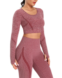 Autumn Seamless High Waist Tight Yoga Two-piece Set