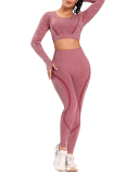 Autumn Seamless High Waist Tight Yoga Two-piece Set