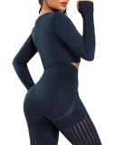 Autumn Seamless High Waist Tight Yoga Two-piece Set