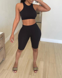 Women's Fashion New Sports Vest Yoga Two-Piece Solid Color S-XL