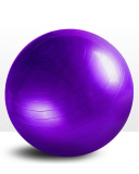 Pvc Yoga Ball (With Pump)