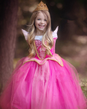 Arlo Princess Sleeping Beauty Frozen Girls Dress Mesh Long Sleeve Puffy Performance Costume