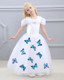 Frozen Girls Cinderella Butterfly Long Princess Dress