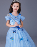 Frozen Girls Cinderella Butterfly Long Princess Dress