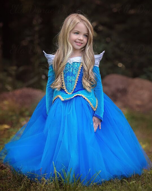 Arlo Princess Sleeping Beauty Frozen Girls Dress Mesh Long Sleeve Puffy Performance Costume