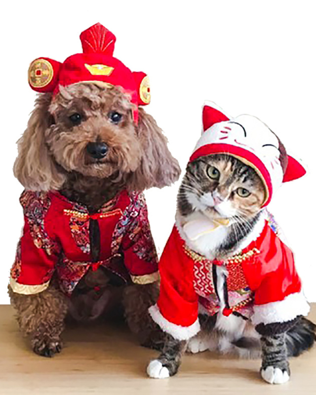 Cotton Pet Hat Decorative Party Pet Cap for Cats Small Dogs Adjustable Cute Cosplay Pet Accessories Cute Headwears for Cat Puppy