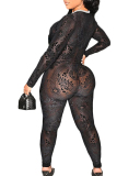 Sexy See-through Deep U-neck Gauze Mesh Printed Sim Fit Nightclub Outfit Jumpsuit Solid Black S-XL