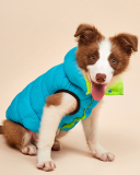 Pet's Contrast Color Double-sided Vest Waterproof Windproof Outdoor Down Jacket Pet Clothes