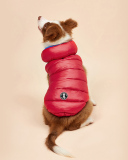 Pet's Contrast Color Double-sided Vest Waterproof Windproof Outdoor Down Jacket Pet Clothes