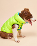 Pet's Contrast Color Double-sided Vest Waterproof Windproof Outdoor Down Jacket Pet Clothes