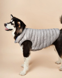 Pet's Contrast Color Double-sided Vest Waterproof Windproof Outdoor Down Jacket Pet Clothes