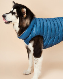 Pet's Contrast Color Double-sided Vest Waterproof Windproof Outdoor Down Jacket Pet Clothes