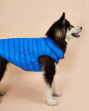 Pet's Contrast Color Double-sided Vest Waterproof Windproof Outdoor Down Jacket Pet Clothes
