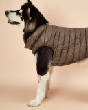 Pet's Contrast Color Double-sided Vest Waterproof Windproof Outdoor Down Jacket Pet Clothes