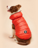Pet's Contrast Color Double-sided Vest Waterproof Windproof Outdoor Down Jacket Pet Clothes