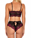 Popular Lace Bra Sets Hollow Out V Shape Pantys Sexy Babydoll Sexy Lingerie Purple Green Blue Wine Red S-2XL
