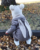 Children Solid Color Rabbit Zipper Jumpsuit Blue Pink Gray White Yellow 59-90