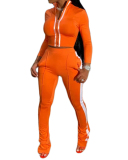 Women Slim Fashion Long Sleeve Winter Two Piece Pant Set S-3XL
