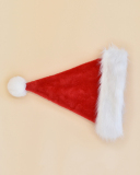 Christmas Thicken Encryption Christmas Hat