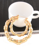 Fashion Oversized Exaggerate Earrings 