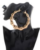 Fashion Oversized Exaggerate Earrings 