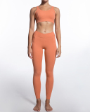 Ladies Fashion New Style Nude Fitness Bra Low Waist Sports Pants Set S-L
