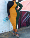 Plus Size Women Long Sleeve Colorblock Spring Sexy Tight Midi Dresses Casual Dresses Green Blue Coffee S-5XL