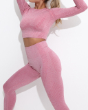 Women's Fashion Sportswear High Waist Running Fitness Suit Seamless Knit Yoga Wear S-L  YJ10829-2