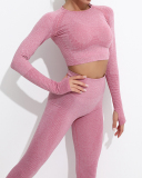 Women's Fashion Sportswear High Waist Running Fitness Suit Seamless Knit Yoga Wear S-L  YJ10829-2