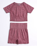 Women's Fashion Sportswear High Waist Running Fitness Suit Seamless Knit Yoga Wear S-L  YJ10829-1