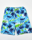 Quick-drying Printed Shorts Men's Casual Sports Five-point Pants Loose Plus Size Shorts