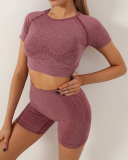 Five Piece Shorts Short Sleeve Long Sleeve Pants Bra Set Women Fitness Top Vest Yoga Wear Solid Color S-L