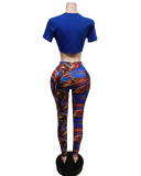 Women Short Sleeve V-neck Crop Casual Pants Sets Two Pieces Outfit Rose Red Coffee Royal Blue S-2XL