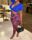Women Short Sleeve V-neck Crop Casual Pants Sets Two Pieces Outfit Rose Red Coffee Royal Blue S-2XL