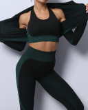 Multicolor Women Colorblock Fashion New Long Sleeve High Elastic Three Piece Set S-XL 