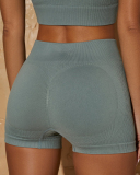 Spring New Seamless Knitted Yoga Sports Fitness Solid Color Yoga Shorts S-L
