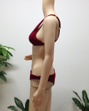 Women Solid Color Sexy Bikini Sets