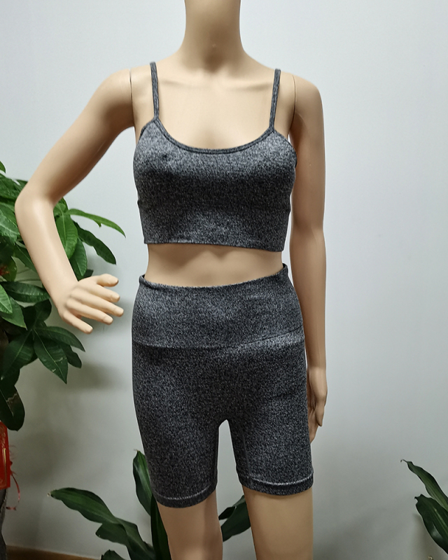 Women Gray Purple Solid Color Soft Two Piece Yoga Sets 