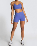 Yoga Two Piece New Women's Bra Shorts Sports Solid Color Suit XS-XL