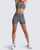 Yoga Two Piece New Women's Bra Shorts Sports Solid Color Suit XS-XL