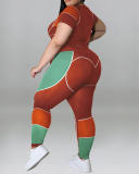New Short Sleeve Slim Sports Wear Plus Size Two Piece Sets Black Purple Blue Red Light Brown XL-5XL