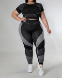 New Short Sleeve Slim Sports Wear Plus Size Two Piece Sets Black Purple Blue Red Light Brown XL-5XL